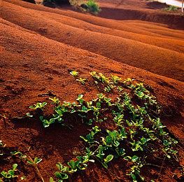 RPG游戏《奇唤士》故事预告 年内发售